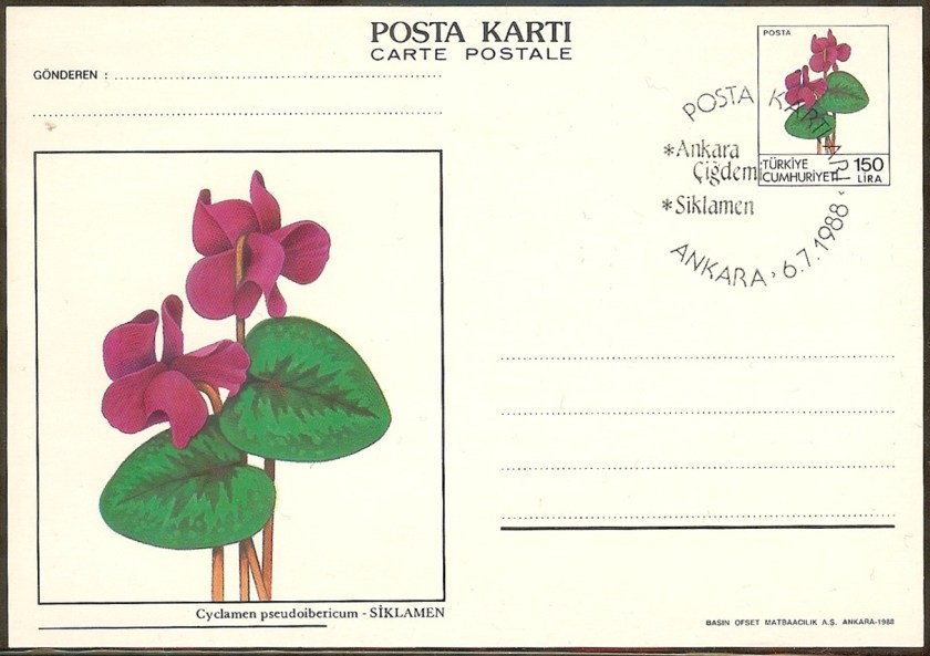 Çiçek resimli antiyeler - 6 Temmuz 1988