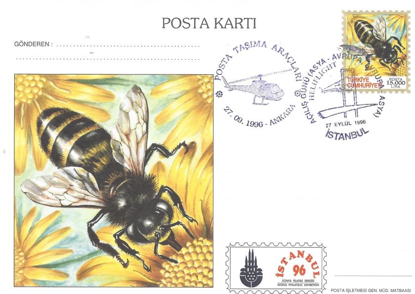 İstanbul '96 sergisi kelebek temalı antiye kart