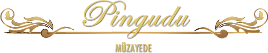logo-pingudu